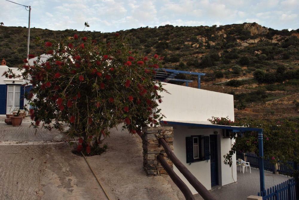 Villa Costa Studios Vathi  Exterior photo