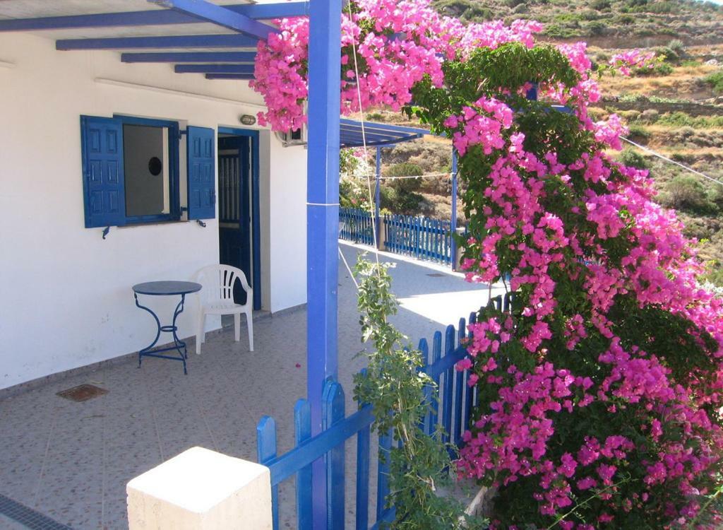 Villa Costa Studios Vathi  Exterior photo