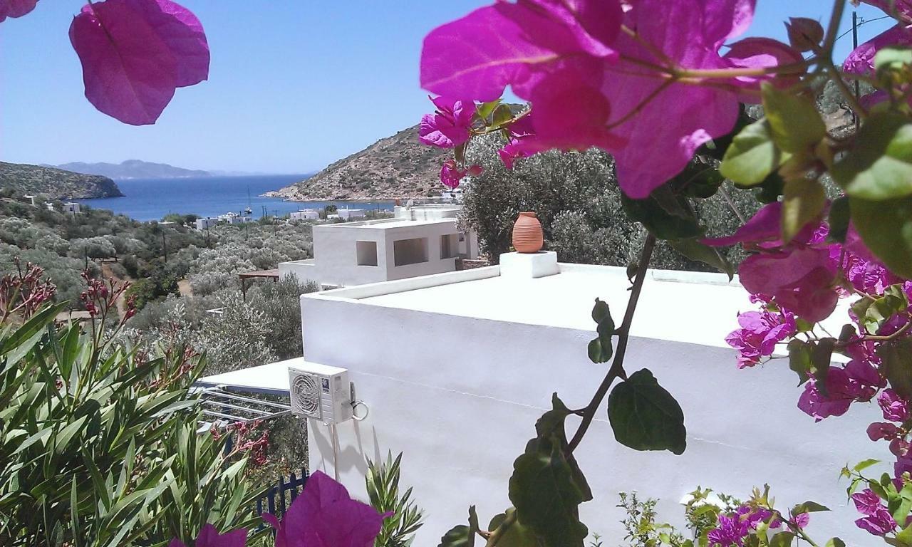 Villa Costa Studios Vathi  Exterior photo